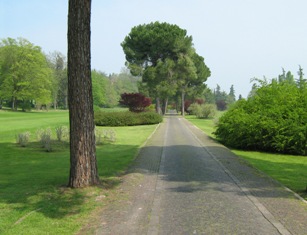 Matematica psicologia storia